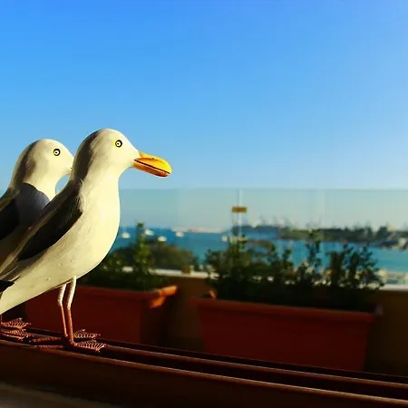 Seagull Penthouse Apartament *