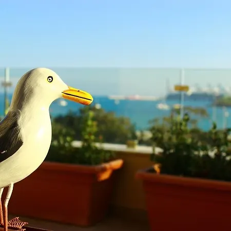 Apartament Seagull Penthouse