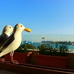 Seagull Penthouse Lejlighed *