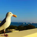 Seagull Penthouse *