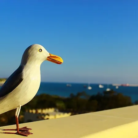 Seagull Penthouse *