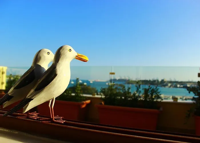 Seagull Penthouse Апартаменты *