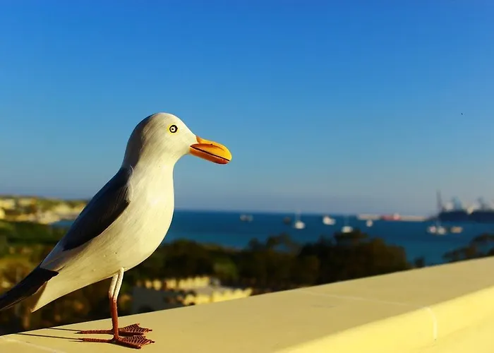 Seagull Penthouse *